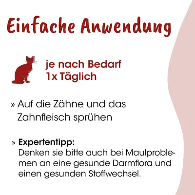 feliTATZ ZahnPflege feliTATZ ZahnPflege