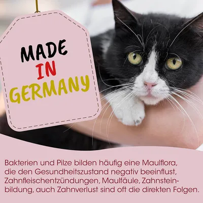 feliTATZ ZahnPflege feliTATZ ZahnPflege