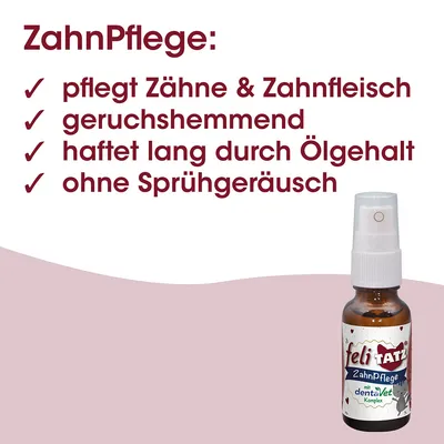feliTATZ ZahnPflege feliTATZ ZahnPflege