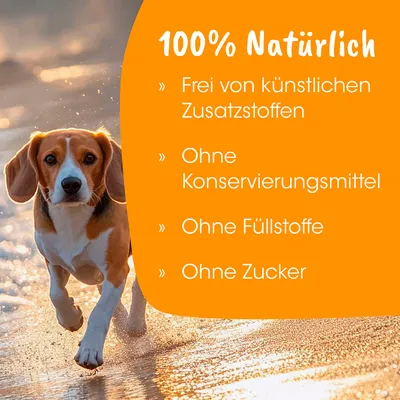 VeaVet Sun Protect