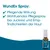 VeaVet WundEx Spray VeaVet WundEx Spray