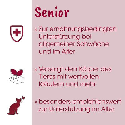 feliTATZ Senior