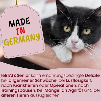 feliTATZ Senior