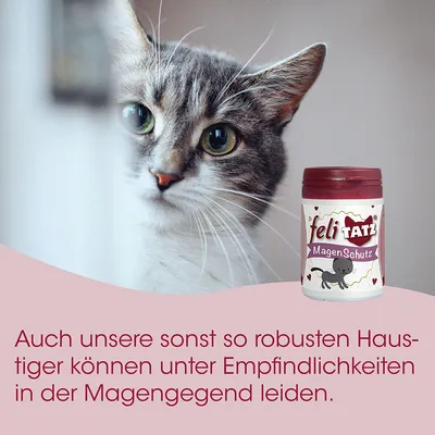 feliTATZ Magenschutz feliTATZ Magenschutz