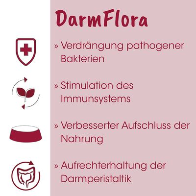 cdVet feliTatz DarmFlora