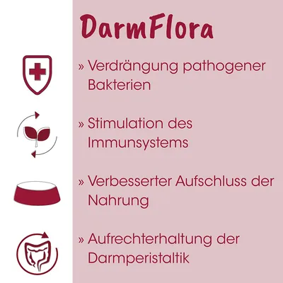 feliTATZ DarmFlora