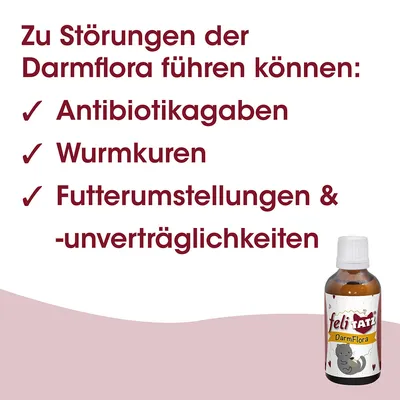 feliTATZ DarmFlora
