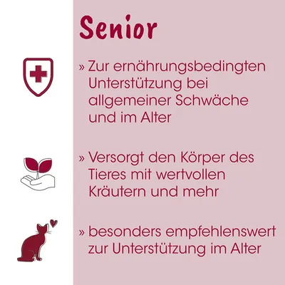 feliTATZ Senior