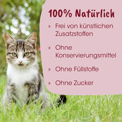 feliTATZ Kittenmilch feliTATZ Kittenmilch