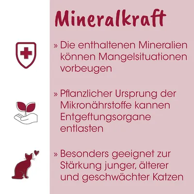 feliTATZ Mineralkraft