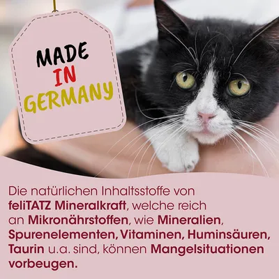 feliTATZ Mineralkraft