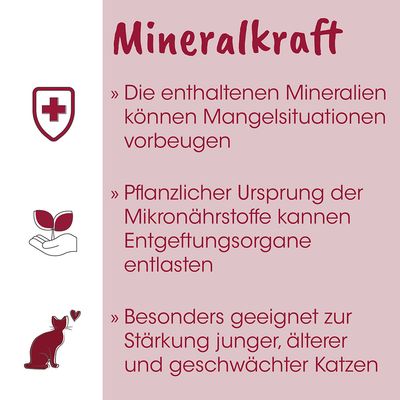feliTATZ Mineralkraft