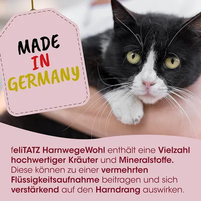 feliTATZ HarnwegeWohl