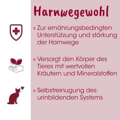 feliTATZ HarnwegeWohl