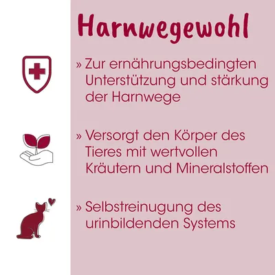 feliTATZ HarnwegeWohl