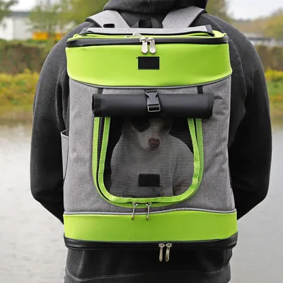 lionto Haustier-Rucksack bis 14 kg, ergonomisch