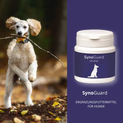 ReboTabs SYNOGuard ReboTabs SYNOGuard