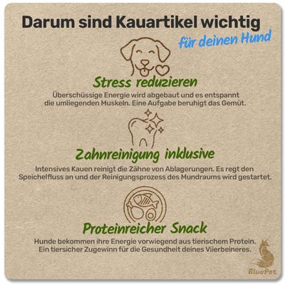Pferdekopfhaut, Pferdehaut Kauartikel für Hunde, ideal für Allergiker