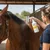 FARNAM - EQUIFLY Control Plus - Répulsif Mouches et Taons Cheval FARNAM - EQUIFLY Control Plus - Répulsif Mouches et Taons Cheval
