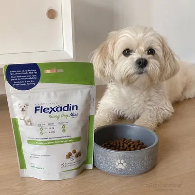 VETOQUINOL - Flexadin Young Dog Mini 60 Comprimés à Mâcher Chiot VETOQUINOL - Flexadin Young Dog Mini 60 Comprimés à Mâcher Chiot