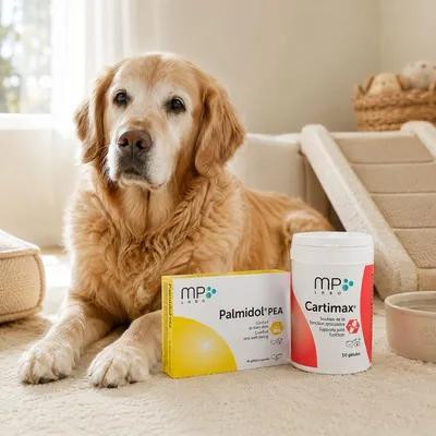 MP LABO - Pack Soutien Articulaire et Confort de Vie Chien Chat MP LABO MP LABO - Pack Soutien Articulaire et Confort de Vie Chien Chat MP LABO