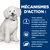 HILL'S - CHIEN ADULT PRESCRIPTION DIETS K/D KIDNEY EARLY STAGE KIDNEY HILL'S - CHIEN ADULT PRESCRIPTION DIETS K/D KIDNEY EARLY STAGE KIDNEY
