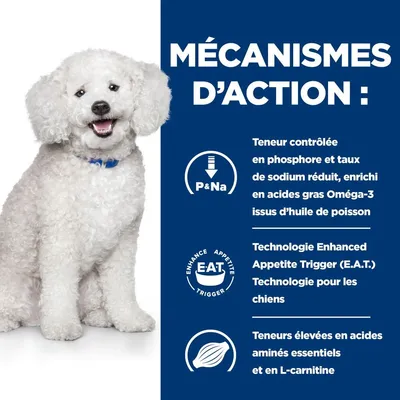HILL'S - CHIEN ADULT PRESCRIPTION DIETS K/D KIDNEY EARLY STAGE KIDNEY HILL'S - CHIEN ADULT PRESCRIPTION DIETS K/D KIDNEY EARLY STAGE KIDNEY