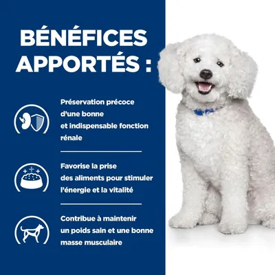 HILL'S - CHIEN ADULT PRESCRIPTION DIETS K/D KIDNEY EARLY STAGE KIDNEY HILL'S - CHIEN ADULT PRESCRIPTION DIETS K/D KIDNEY EARLY STAGE KIDNEY