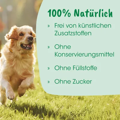 Hundekotbeutel Hundekotbeutel