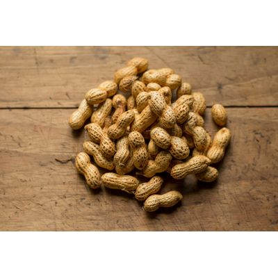 Futterbauer 10 kg  Erdnusskerne IN DER SCHALE