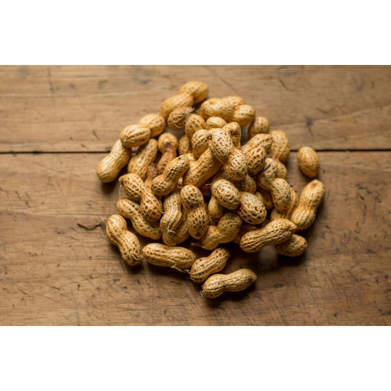 Futterbauer 10 kg  Erdnusskerne IN DER SCHALE