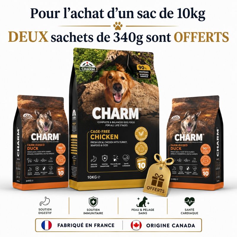 CHARM Croquettes Poulet Chien 10kg + 2 Sachets Offerts