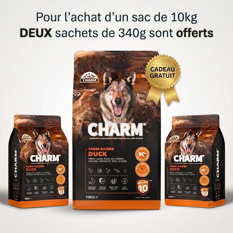 CHARM Canard Fermier Adulte pour chien 10kg - Sans Céréales
