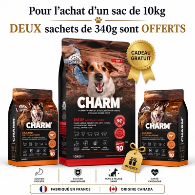 CHARM Croquettes Bœuf Chien 10kg + 2 Sachets Offerts CHARM Croquettes Bœuf Chien 10kg + 2 Sachets Offerts