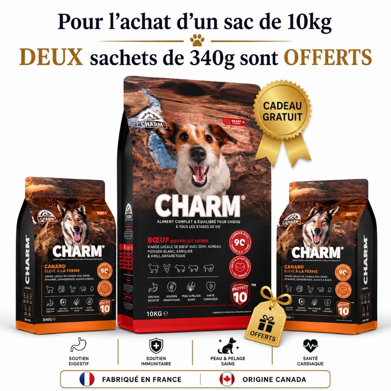 CHARM Croquettes Bœuf Chien 10kg + 2 Sachets Offerts