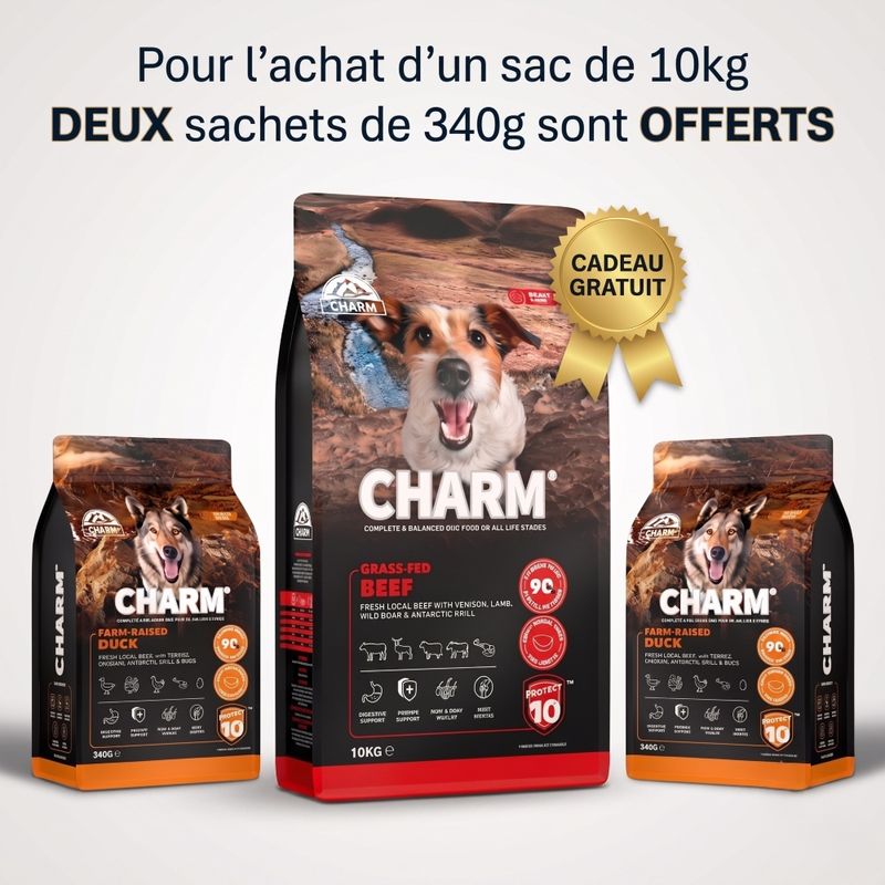 CHARM Bœuf Nourri à l'Herbe Adulte pour chien 10kg - Sans Céréales