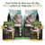 CHARM Agneau de Nouvelle-Zélande Adulte pour chat 2× 2kg + 2 sachets Poulet
