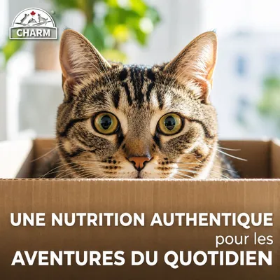 CHARM Croquettes Poulet Fermier pour Chat - Sans Céréales CHARM Croquettes Poulet Fermier pour Chat - Sans Céréales