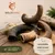 Wildfang Kauhorn vom Schaf Wildfang Kauhorn vom Schaf