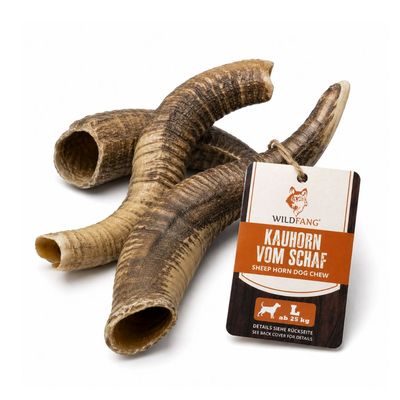 Wildfang Kauhorn vom Schaf