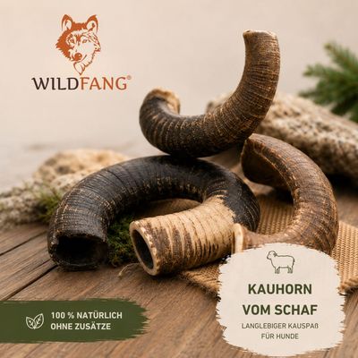 Wildfang Kauhorn vom Schaf