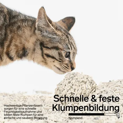 pidan Tofu- & Bentonit-Katzenstreu