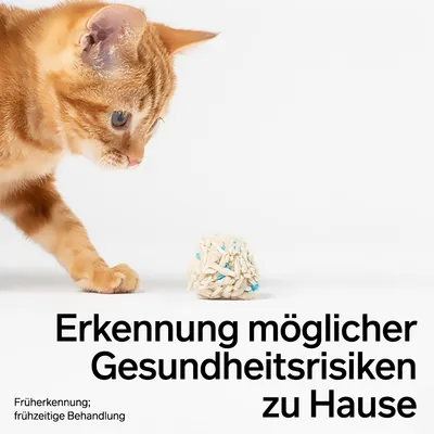 pidan Tofu-Katzenstreu mit Blutindikator
