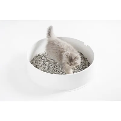 PIDAN Katzenstreu 3 in 1 mit Aktivkohle PIDAN Katzenstreu 3 in 1 mit Aktivkohle
