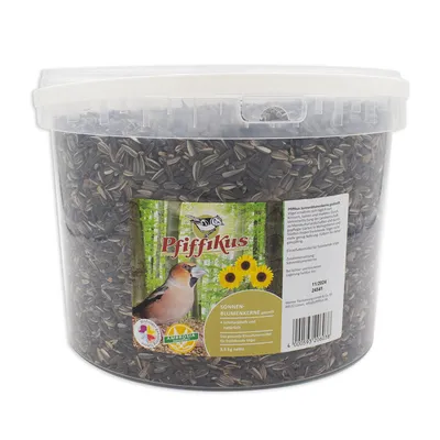 Pfiffikus Sonnenblumenkerne Eimer Pfiffikus Sonnenblumenkerne Eimer