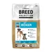 Wildsterne Breed Boxer