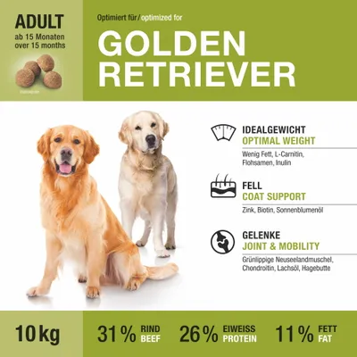 Wildsterne Breed Golden Retriever Wildsterne Breed Golden Retriever