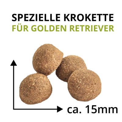 Wildsterne Breed Golden Retriever