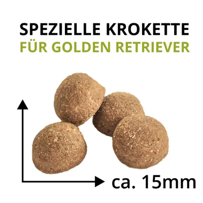 Wildsterne Breed Golden Retriever Wildsterne Breed Golden Retriever