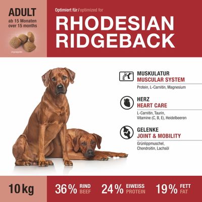 Wildsterne Breed Rhodesian Ridgeback